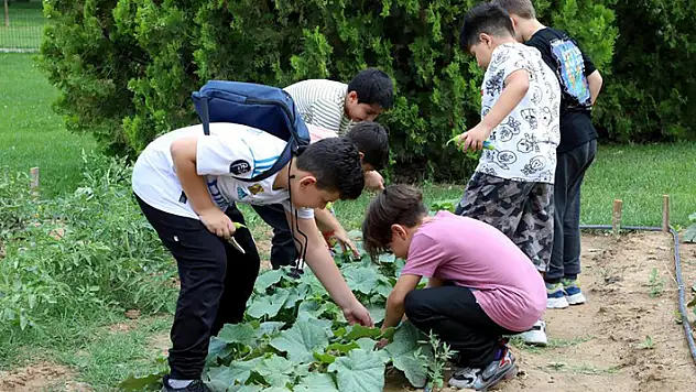 Karatay tabiat mektebi yaz dönemi eğitimleri sürüyor

