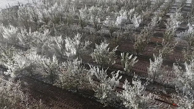Karatay Ziraat Odası Başkanı Rıfat Kavuneker: 'Türkiye tarımın depremini yaşıyor'