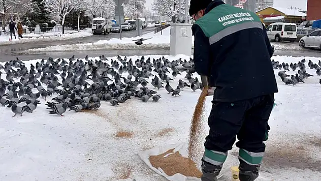 Karatay'da 24 saat kar mesaisi

