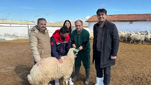 Karatay'da küçükbaş hayvan işletmeleri denetlendi