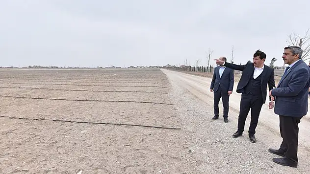 Karatay'daki lavanta bahçeleri 400 bin metrekare büyüklüğe ulaştı
