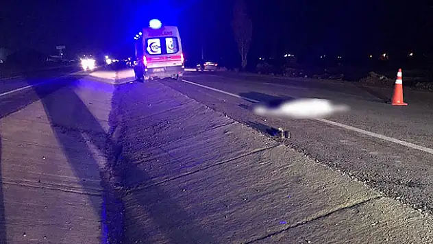Karayoluna çıkan kişi canından oldu
