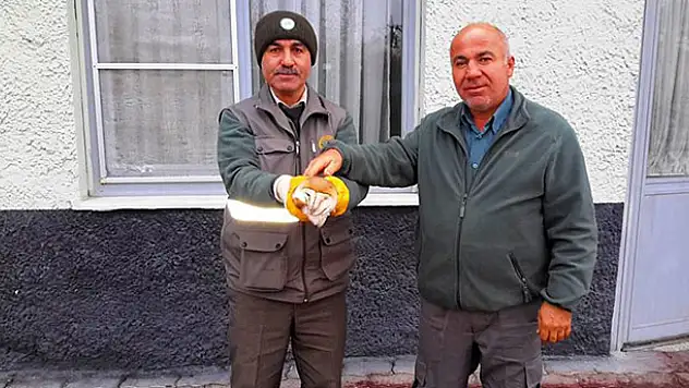 Karayolunda bulunan yaralı baykuş koruma altına alındı