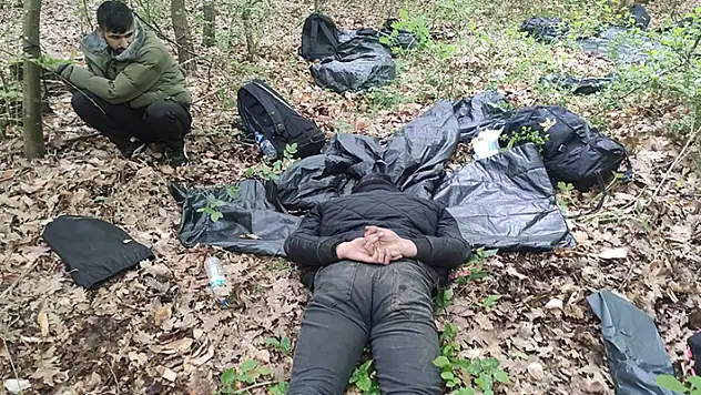 Kargo minibüsü ile göçmen kaçakçılığına suçüstü: 17 organizatör tutuklandı
