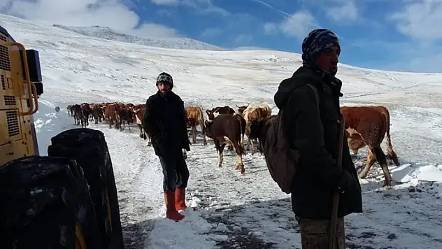Karlı kaplı dağlarda besicilerin zorlu dönüş mesaisi
