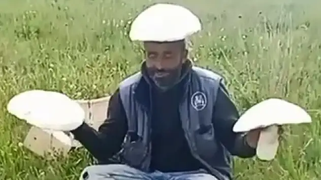 Kars'ta dev mantarlar ilgi odağı oldu
