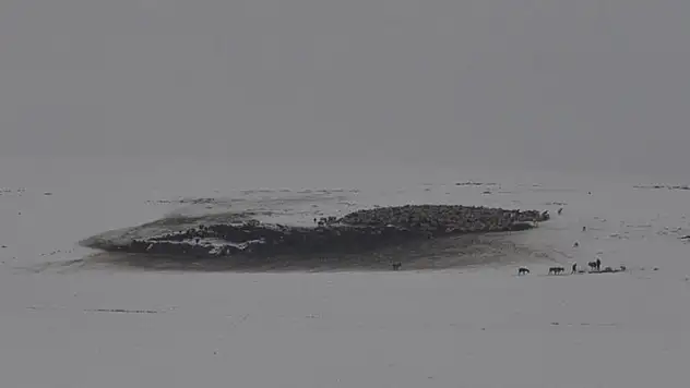 Kars'ta kar ile hava sıcaklığı eksi 5 dereceye düştü
