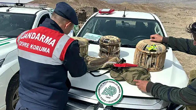 Kars'ta keklik avına 102 bin 609 lira ceza
