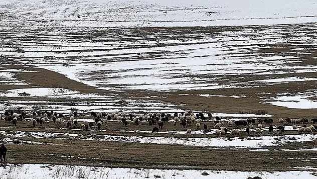 Kars ve Ardahan'da kar etkili oldu
