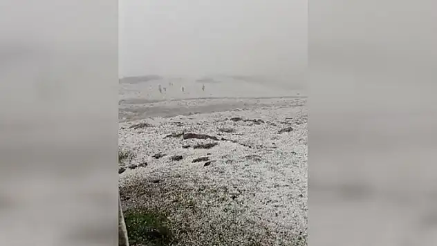 Kars'ın Tuygun köyü yaylası dolu ve karla beyaza büründü
