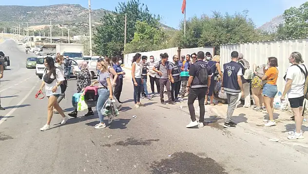 Karşıyaka'daki orman yangını barınaklardaki hayvanlar tahliye edildi