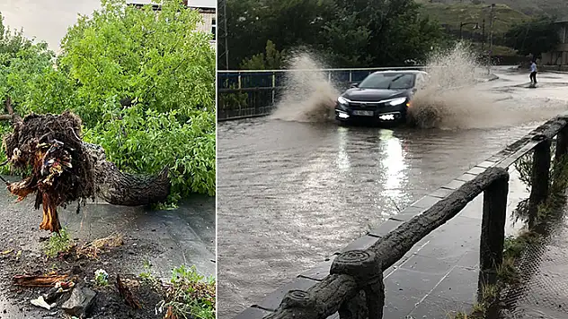 Kars'ta fırtına ve sağanak Yollar göle döndü, ağaç devrildi, kopan elektrik kablosunun temas ettiği 2 inek öldü
