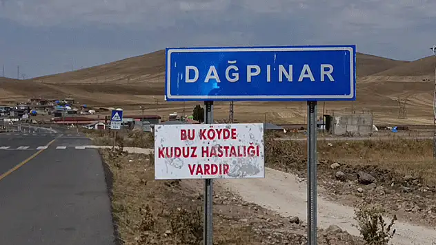 Kuduz vakası: Bir belde karantinaya alındı