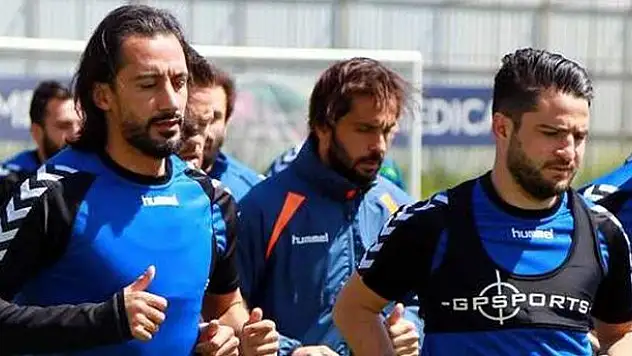 Kartal harıl harıl
