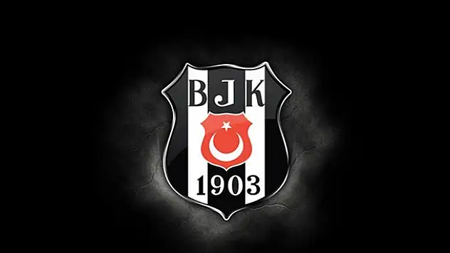 Kartal'ın tek patronu Şenol Güneş