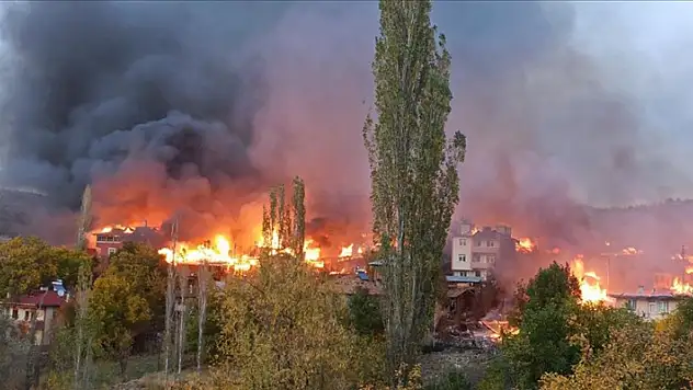 Kastamonu'da 43 köy evini etkileyen yangın kontrol altına alındı
