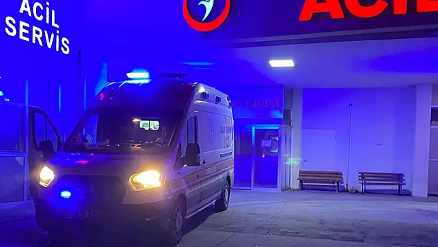 Kastamonu'da ayı saldırısına uğrayan kişi ağır yaralandı
