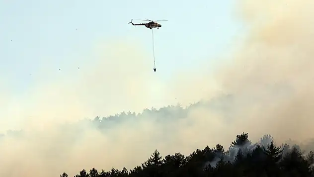 Kastamonu'da çıkan orman yangınına ekiplerin müdahalesi sürüyor
