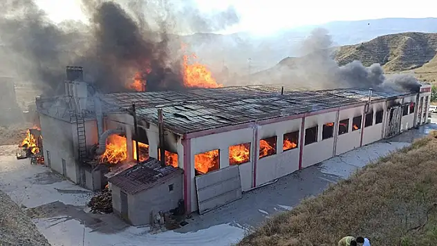 Kastamonu'da kapı fabrikasında çıkan yangın kontrol altına alındı
