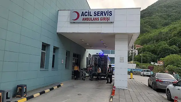 Kastamonu'da akrebin soktuğu kadın hastanelik oldu