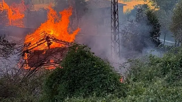 Kastamonu'da alevlere telim olan iki samanlık yandı