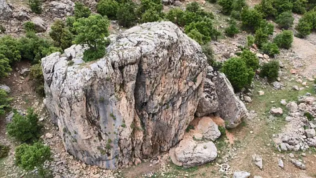 Kayanın üzerindeki ağaç görenlerin dikkatini çekiyor
