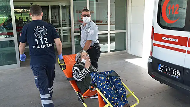Kayıp alzheimer hastası kadını jandarma köpeği 'Kahve' buldu