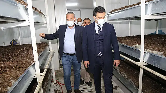 Kaymakam Selçuk mantar üretim tesisini ziyaret etti
