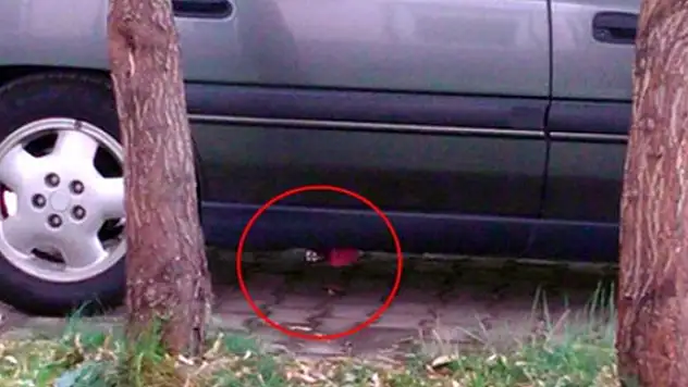Kaymakamın makam aracına bombalı tuzak