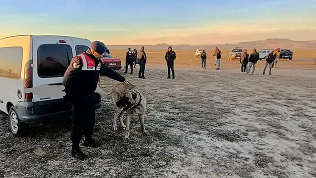 Kayseri'de bahisle köpek dövüştüren 37 kişiye 150 bin TL ceza

