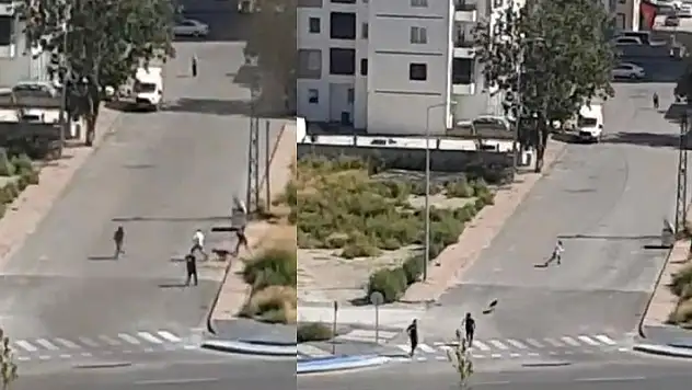 Kayseri'de sokak köpeği, 19 yaşındaki gence dehşeti yaşattı! 