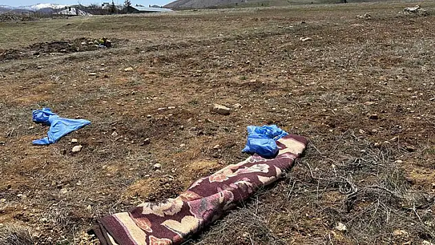 Kayseri'de başıboş köpeklerin saldırdığı yaşlı adam hayatını kaybetti