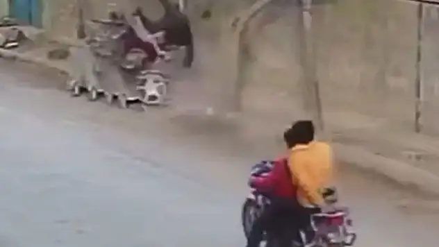 Kazanın adresi Konya! Motosiklet çöp konteynerine çarpıp takla attı, çöpteki kedi fırladı
