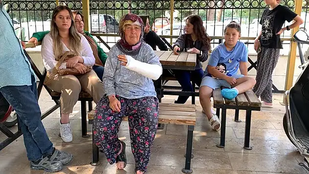 Keçileri otlatmaya giderken husumetlisi tarafından darp edilen kadın kanlar içinde kaldı
