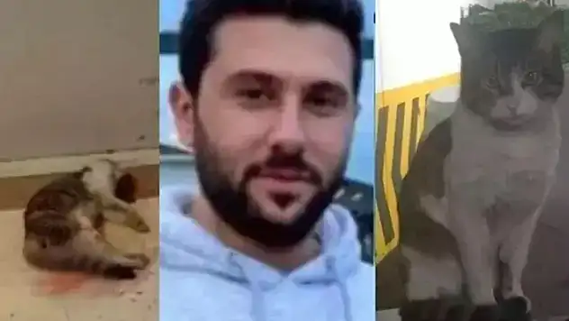 Kedi Eros'u darp ederek öldüren İbrahim Keloğlan hakkında flaş gelişme
