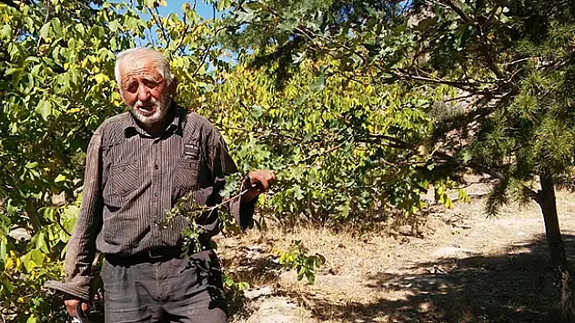 Kendi kurduğu ormanın satılmasını istemiyor