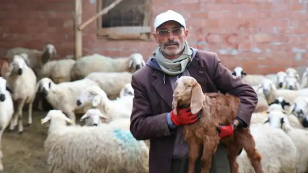 Kendisine oy vermeyen baldızı ve bacanağına şiir yazmıştı, film teklifi aldı

