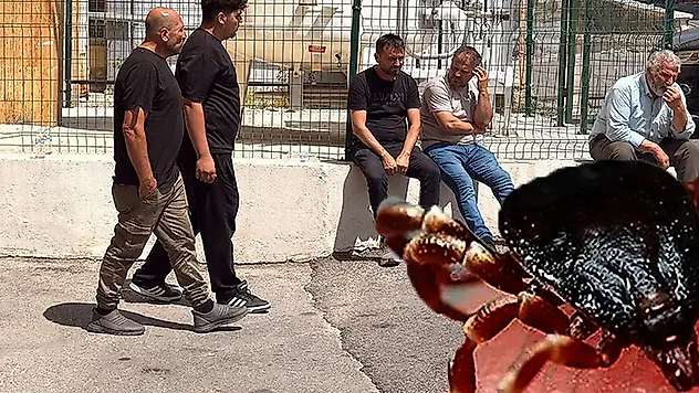 Kene kabusu sürüyor! Aynı aileden ikinci can kaybı