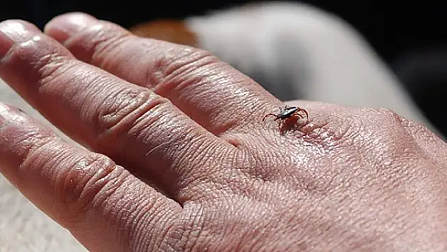 Kenenin yapıştığı yaşlı kadın öldü, kentte ölü sayısı 8'e ulaştı