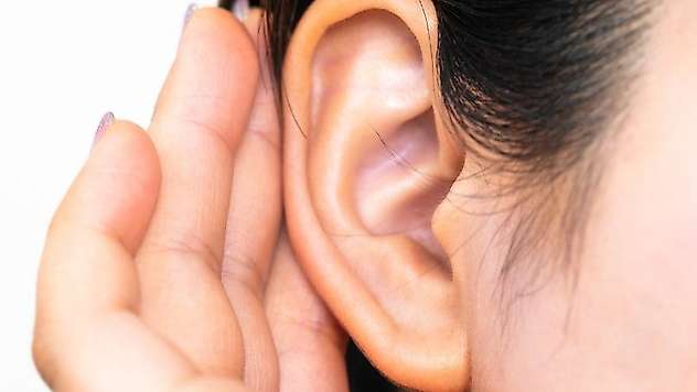 Kepçe kulaktan 1 saat içinde kurtulmak mümkün
