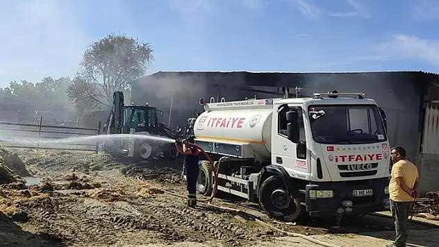 Keşan Ticaret Borsası Başkanı Kaymaz'a ait ahır yandı, 35 büyükbaş öldü
