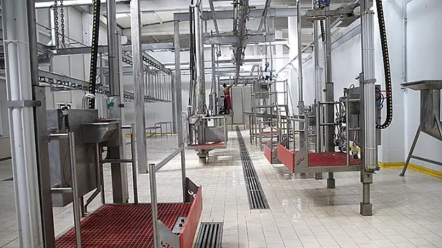 Kesimhanelere kamera zorunluluğu getiriliyor

