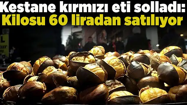 Kestane kırmızı eti solladı: Kilosu 60 liradan satılıyor