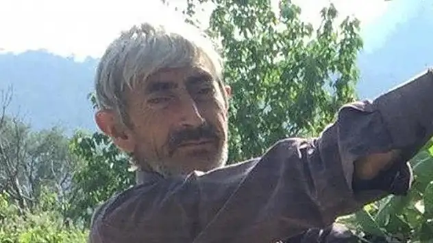 Kestiği ağacın altında can verdi
