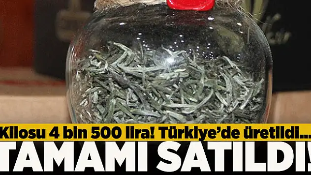 Kilosu 4 bin 500 lira! Tamamı satıldı...