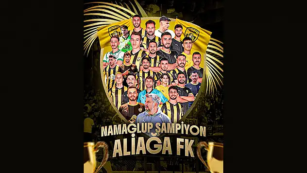 Kimler şampiyon oldu, kimler 3. Lig'e veda etti?