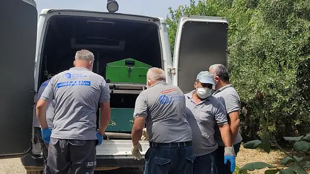 Kiracının fark ettiği koku, ev sahibinin ölümünü ortaya çıkardı
