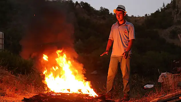 Kiraz üreticileri 'ayı' nöbetinde