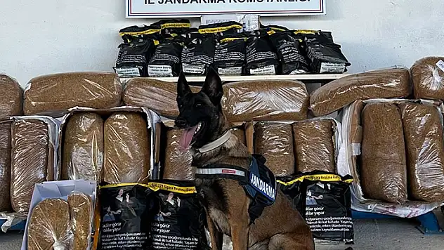 Kırıkkale'de kargo aracında 710 kilogram kaçak tütün ele geçirildi