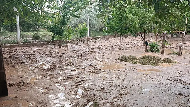 Kırıkkale'de sağanak sele neden oldu su baskınları yaşandı, 20 küçükbaş öldü
